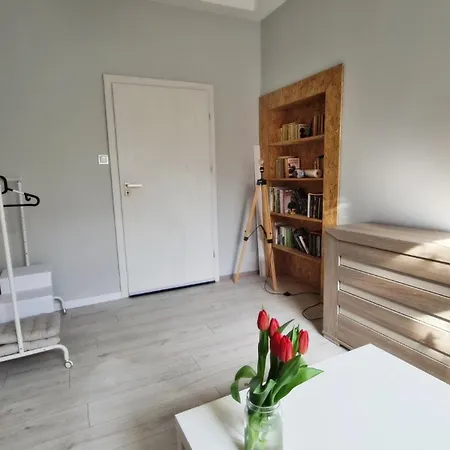 Apartamento Lokum Z Ogrodem Płock Exterior foto