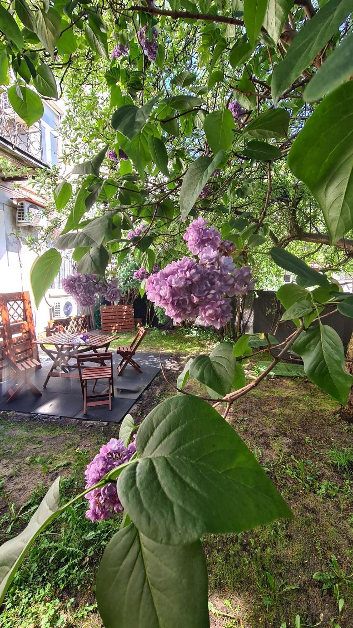 Lokum Z Ogrodem Płock
